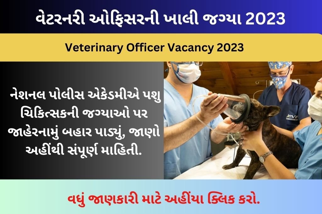 Veterinary Officer Vacancy 2023